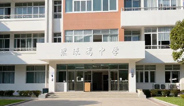 财税咨询如何助力中小企业提升管理效率,优化运营模式