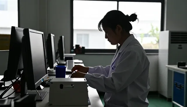 东莞大来企业管理有限公司助力商务服务专家提升竞争力